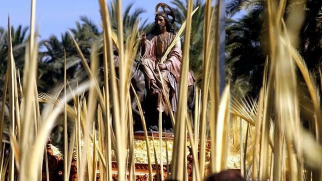 Palma Blanca de Domingo de Ramos
