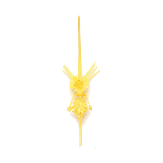 Palma blanca online Laurel Estrella