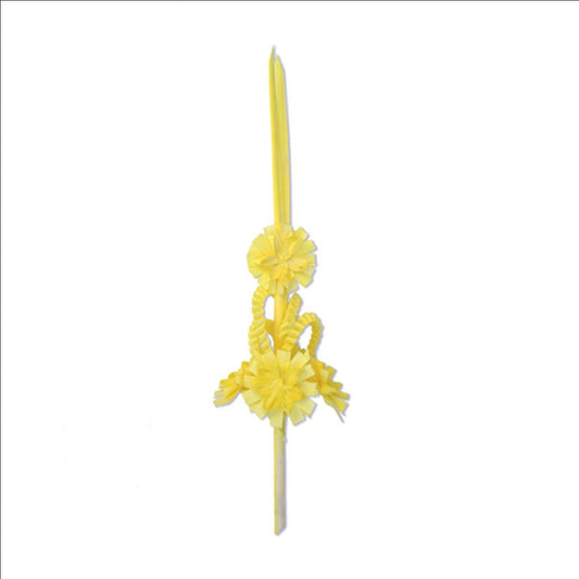 palma blanca nº2 estrella