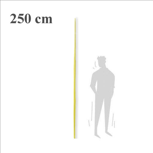 palma blanca segunda princesa