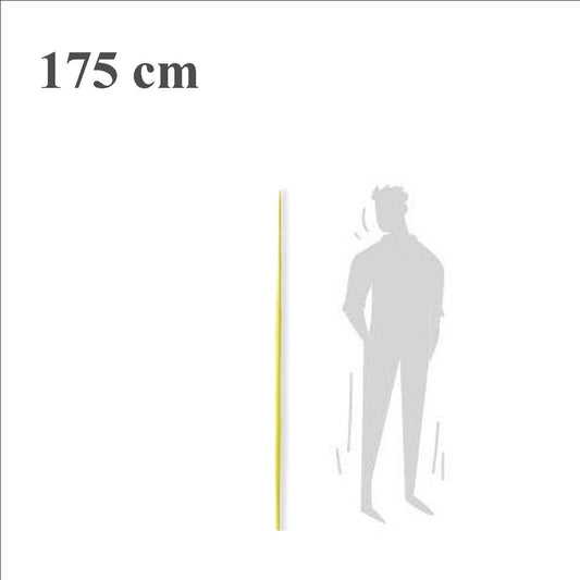 Palma blanca tercera Monago A