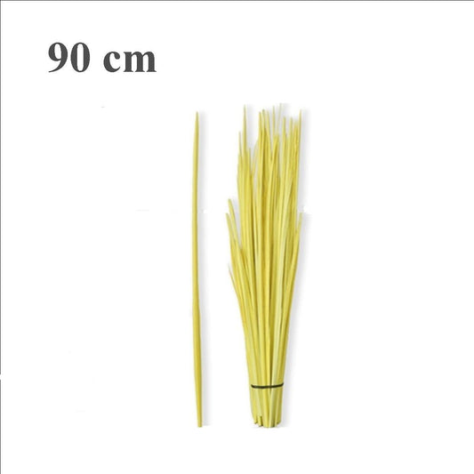 palma blanca cogollo